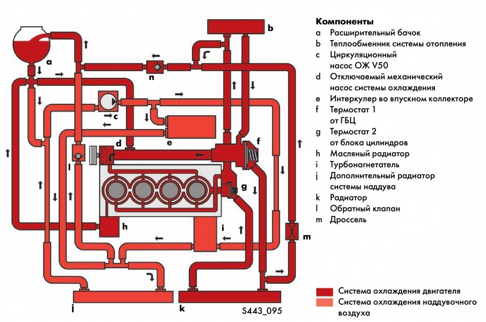 Циркуляция ож